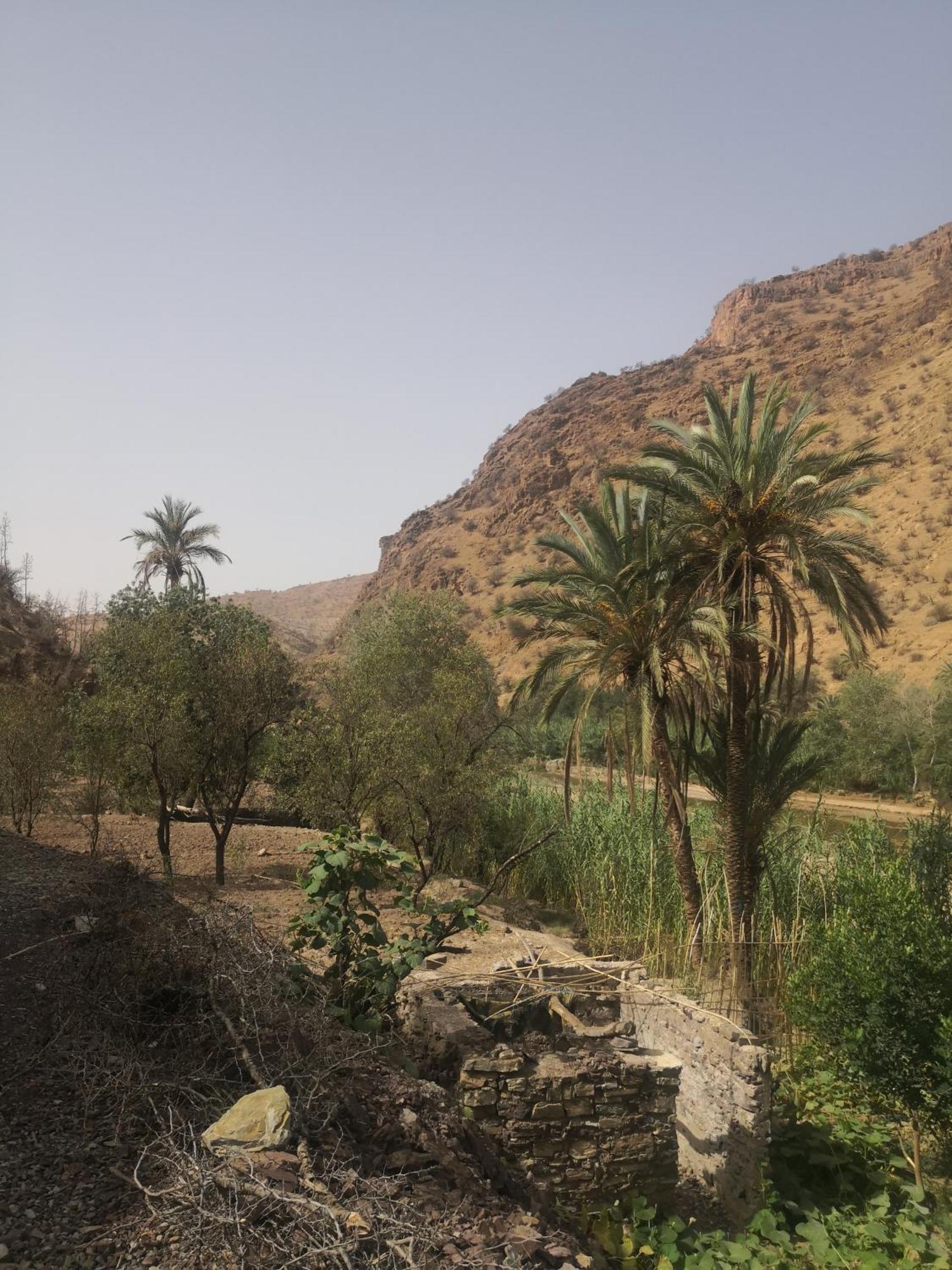 Auberge Kasbah Amoun تالوين المظهر الخارجي الصورة
